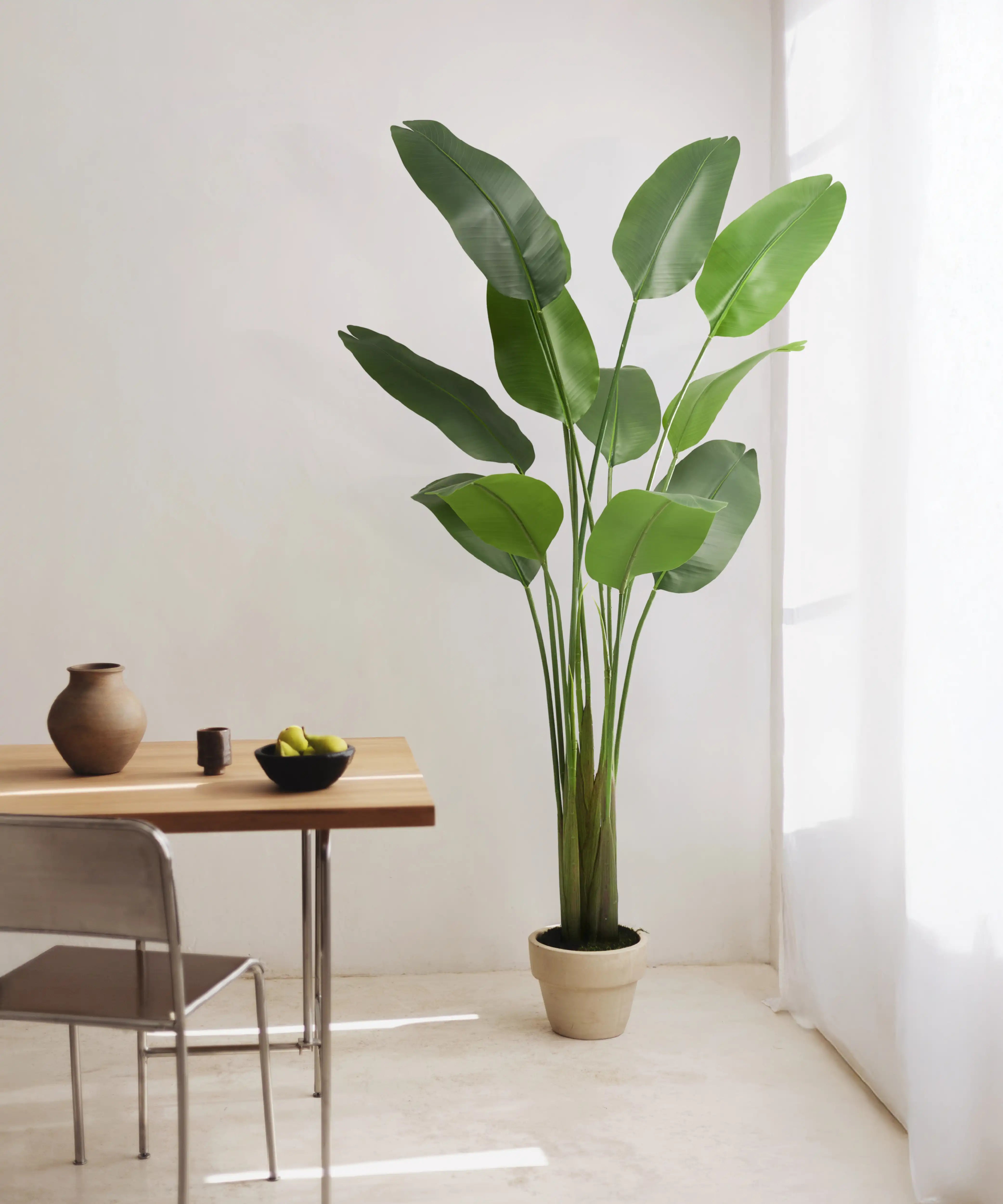 Ave del Paraiso Artificial 210 MAIA SHOP