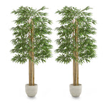 Pack Duo Bambu 180 cm MAIA SHOP