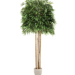Bambú 185 cm MAIA SHOP
