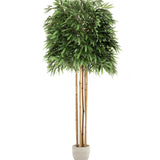 Bambú 185 cm MAIA SHOP