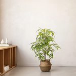 Bambú Artificial Minimal 110 MAIA SHOP Decoracion