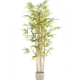 Bambu Artificial Savage 180cm