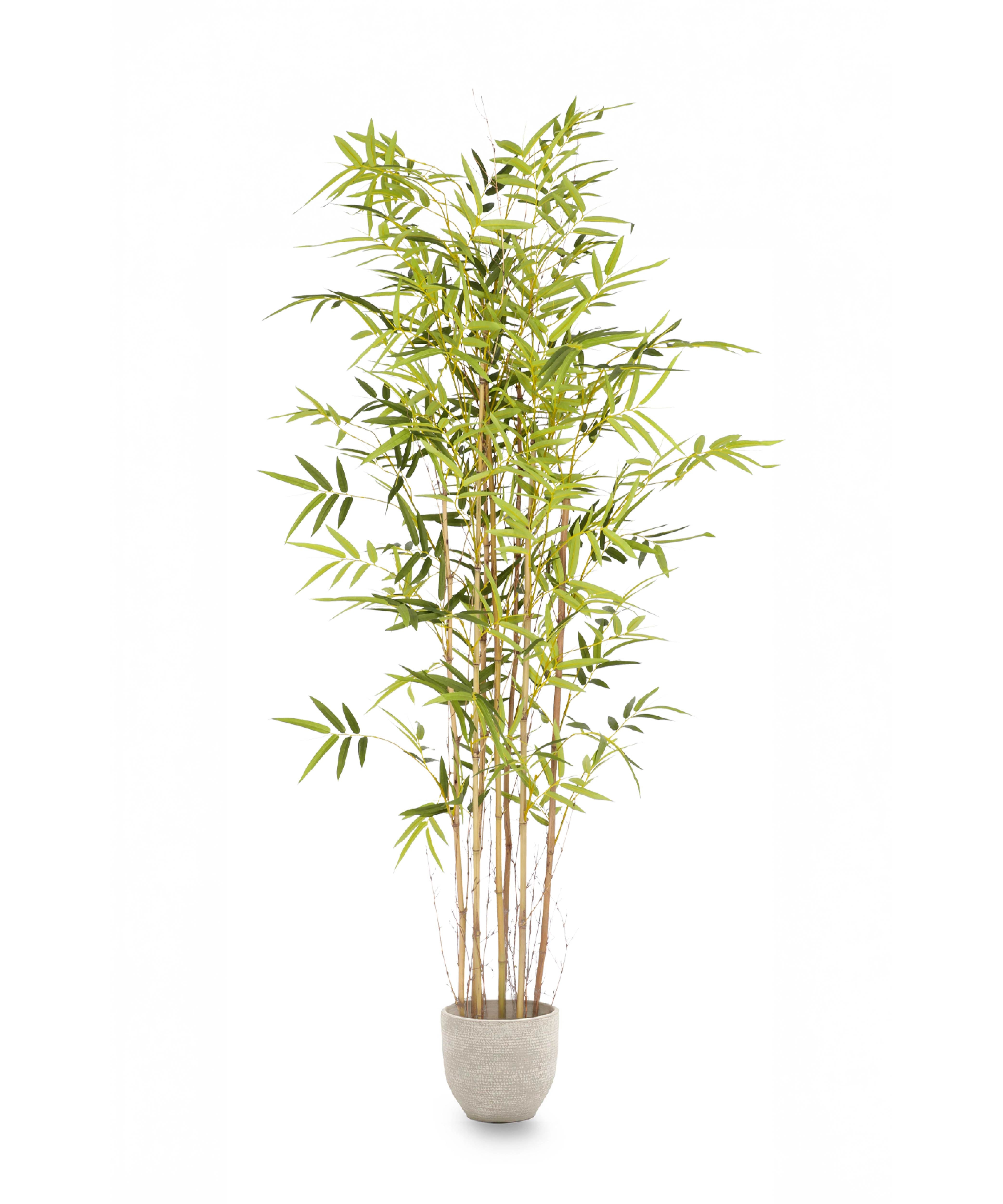 Bambu Artificial Savage 180cm