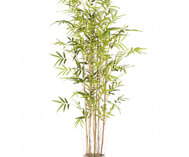 Bambu Artificial Savage 180cm