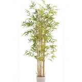 Bambu Artificial Savage 210cm