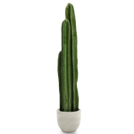 Cactus Artificial 100 MAIA SHOP 