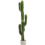 Cactus Artificial 130 MAIA SHOP PNG