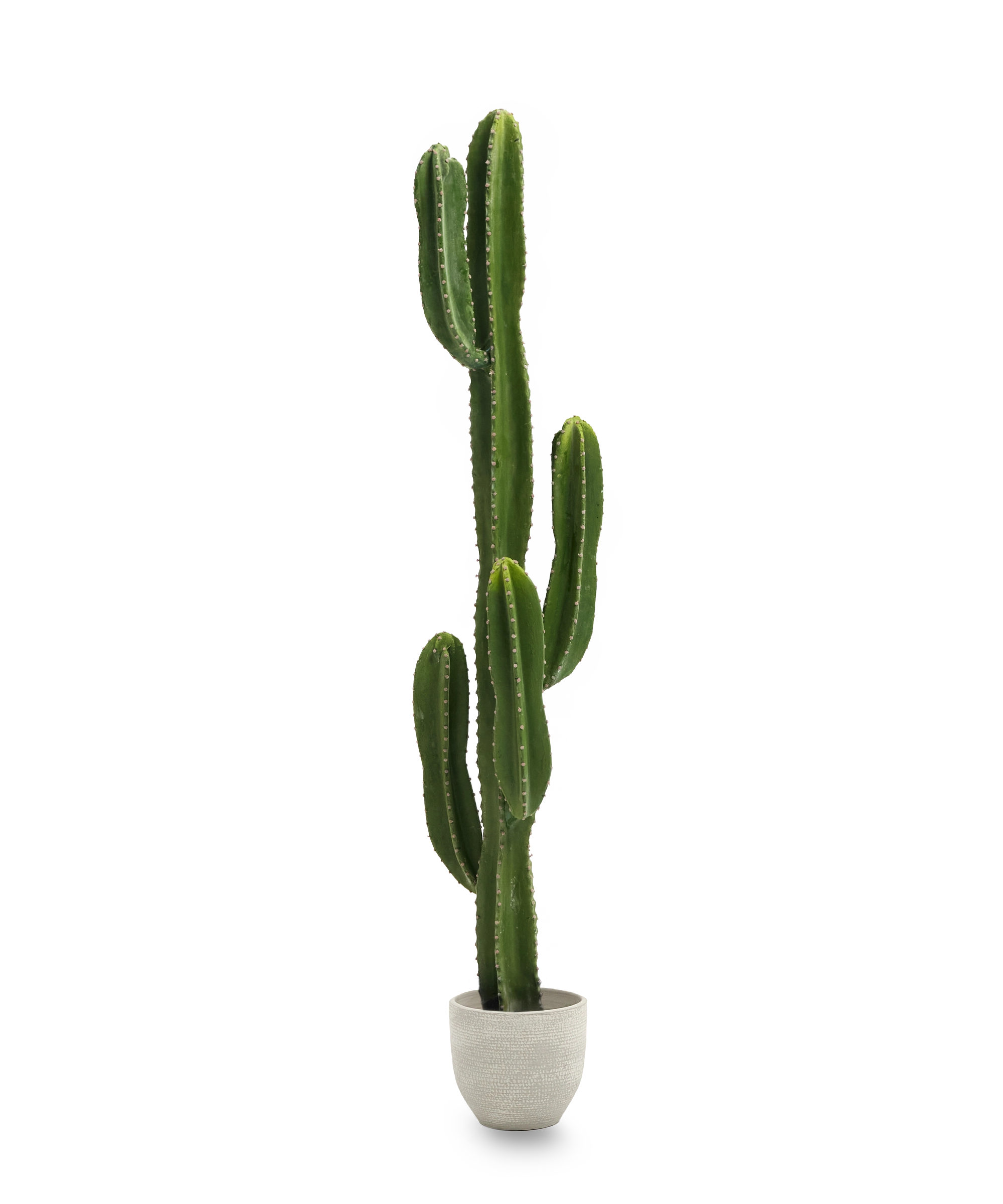 Cactus Artificial 130 MAIA SHOP PNG