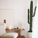 Cactus Artificial 190 MAIA SHOP