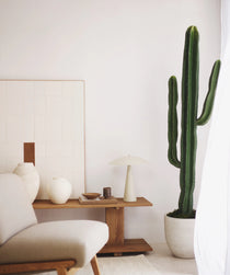 Cactus Artificial 190 MAIA SHOP