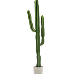 Cactus Artificial 190 MAIA SHOP PNG