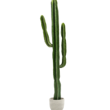 Cactus Artificial 190 MAIA SHOP PNG