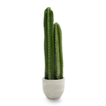 Cactus Artificial 70 MAIA SHOP PNG