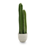 Cactus Artificial 70 MAIA SHOP PNG