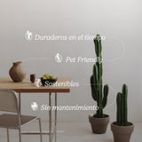 Caracteristicas Cactus Artificial MAIA SHOP 