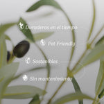 Caracteristicas Olivo Artificial Moon MAIA SHOP