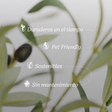 Caracteristicas Olivo Artificial Moon MAIA SHOP