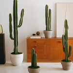 Coleccion Cactus Artificial MAIA SHOP 