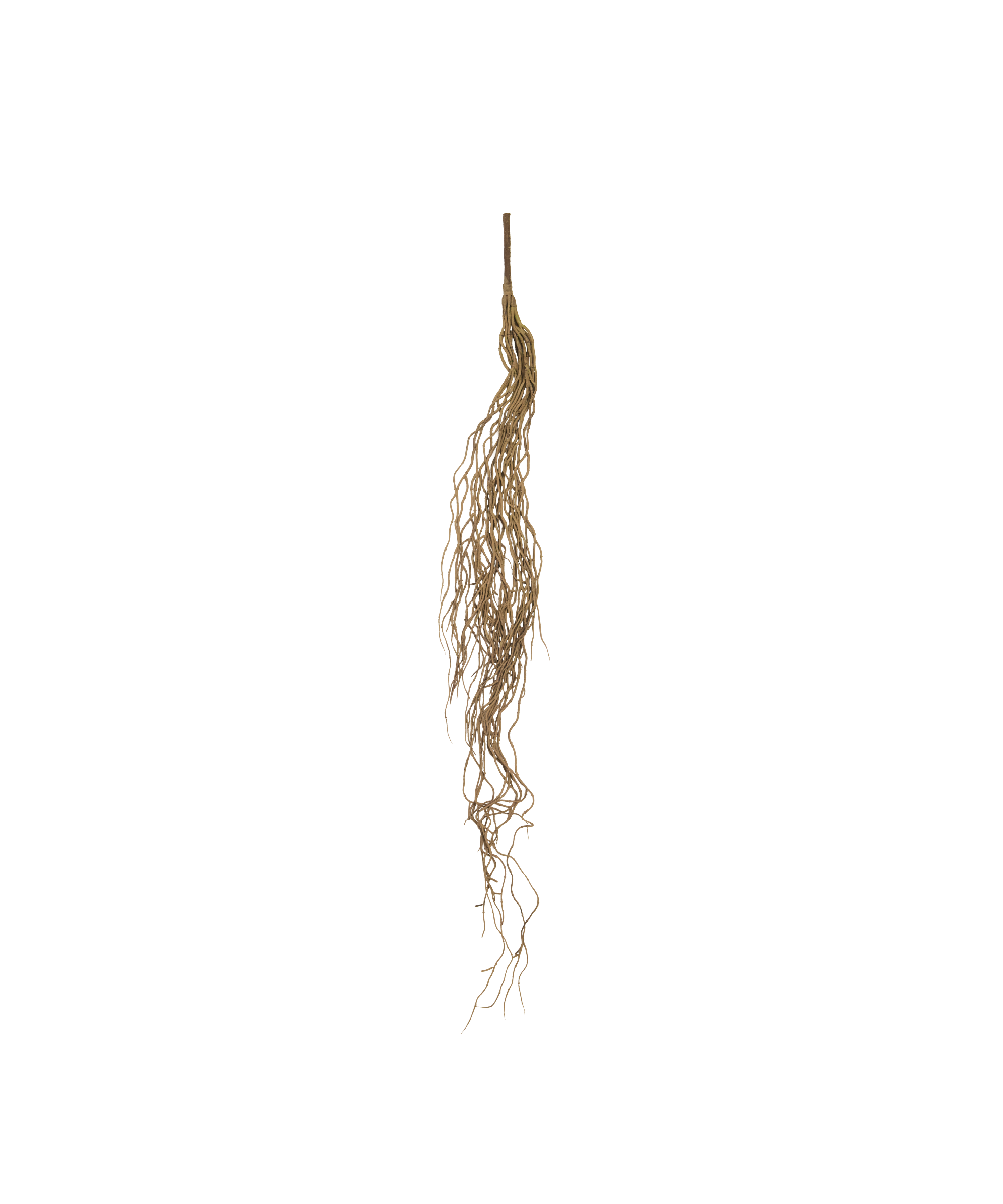 Colgante Artificial Rhipsalis MAIA SHOP Marrón
