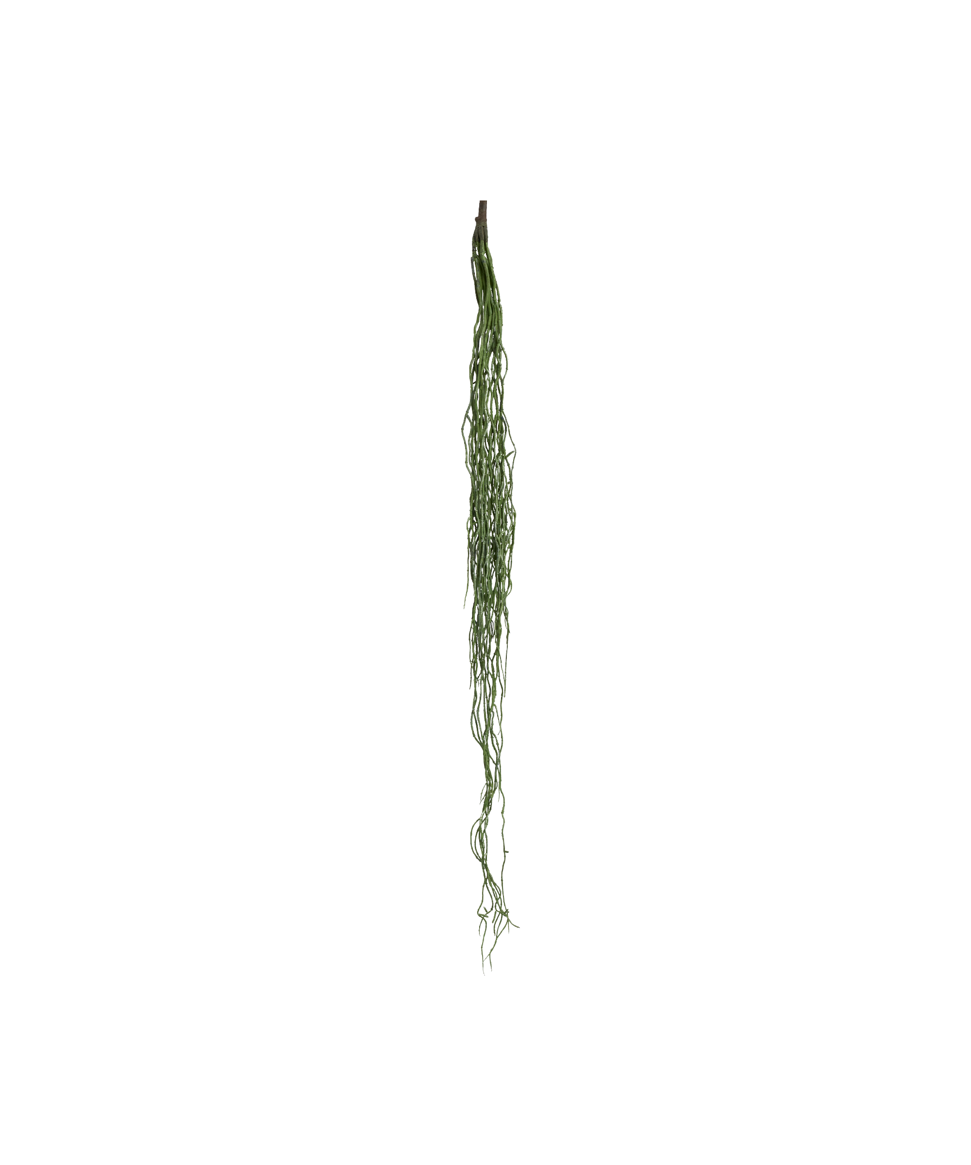 Colgante Artificial Rhipsalis MAIA SHOP Verde