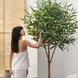 Copa Laurel Artificial 220 cm MAIA SHOP