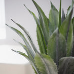 Detalle Hoja Agave Artificial MAIA SHOP