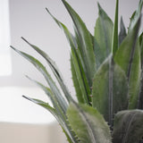 Detalle Hoja Agave Artificial MAIA SHOP