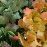 Detalle Hortensia MAIA SHOP Autumn Glow