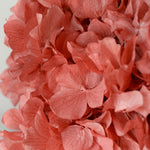 Detalle Hortensia MAIA SHOP Rosa Intense