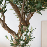 Detalle Olivo Artificial Centennial 210cm