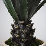 Detalle Tronco Agave Artificial MAIA SHOP
