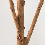 Detalle Tronco Laurel Artificial 220 cm MAIA SHOP