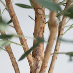 Detalle Tronco Olivo Artificial Centennial 220 cm