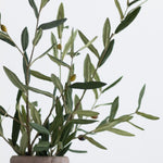 Detalle de rama de olivo artificial MAIASHOP