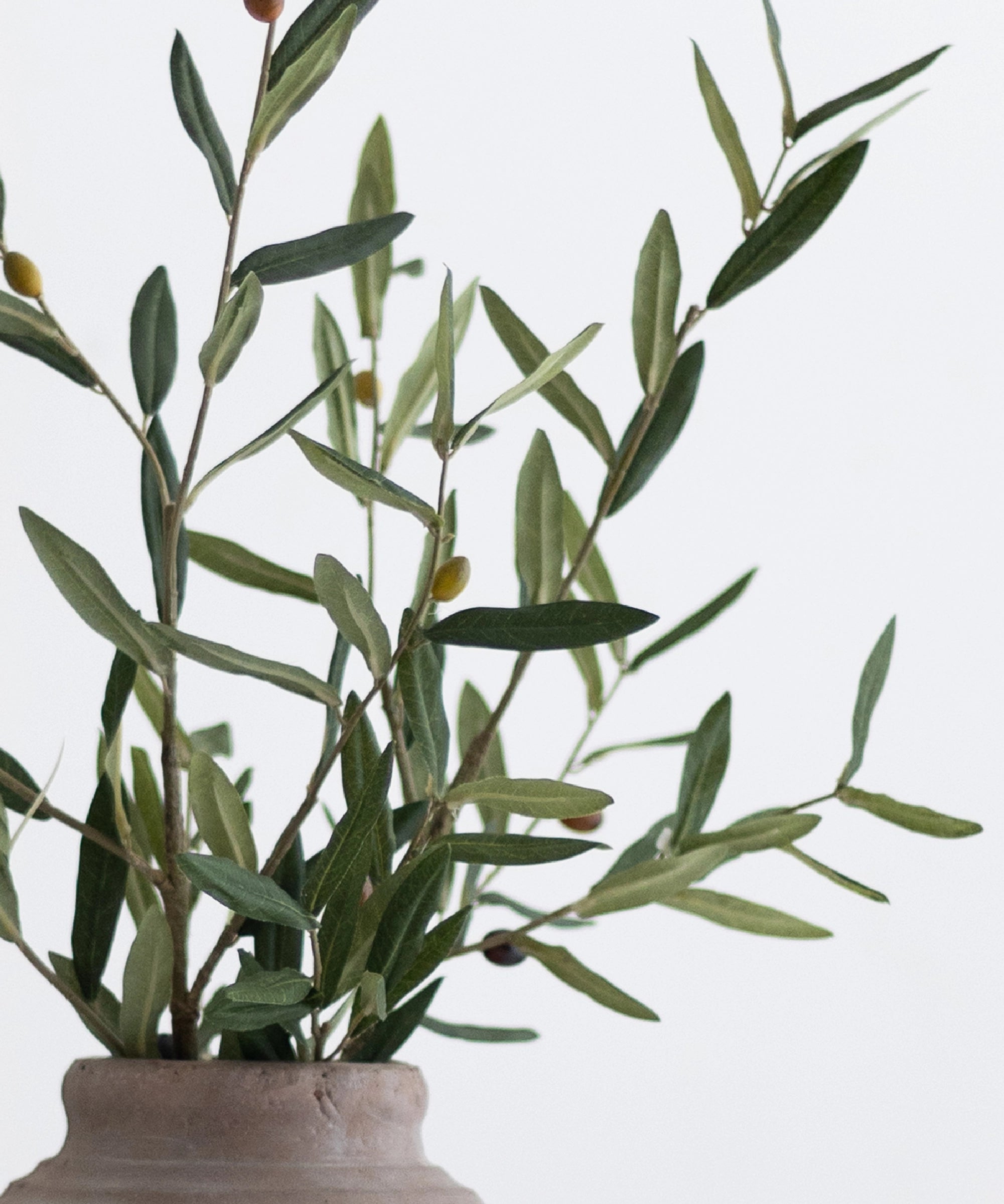 Detalle de rama de olivo artificial MAIASHOP