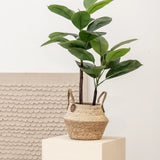 Ficus Elastica artificiel