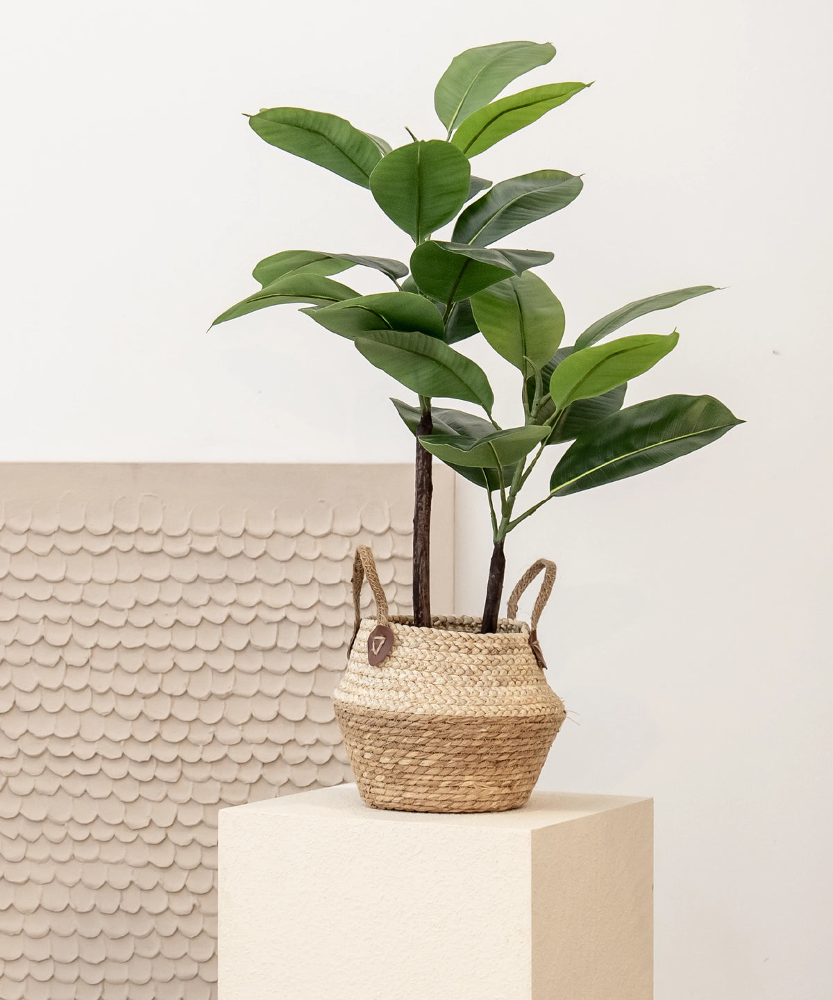 Ficus Elástica artificial en MAIASHOP