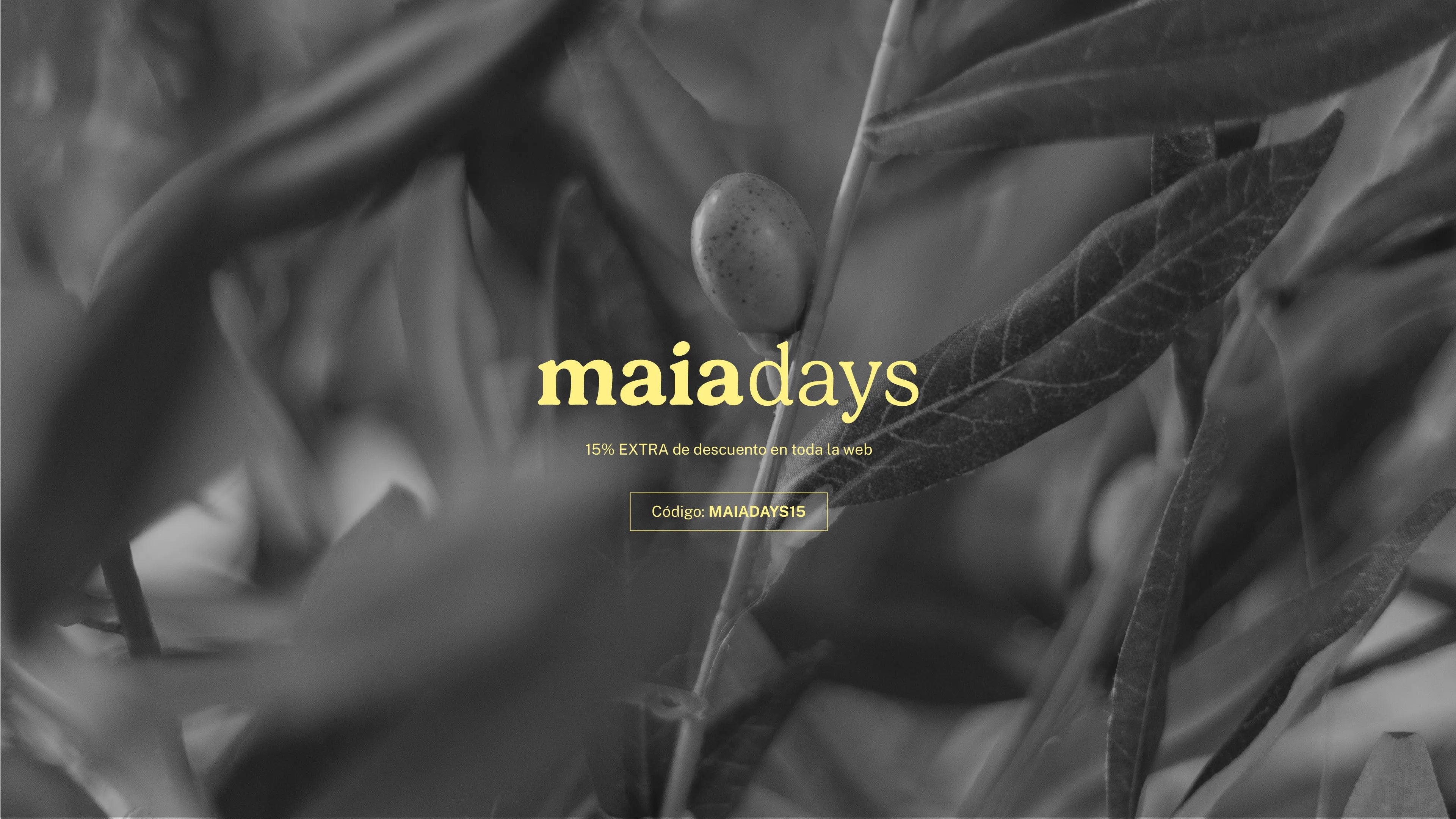 Imagen de diapositiva