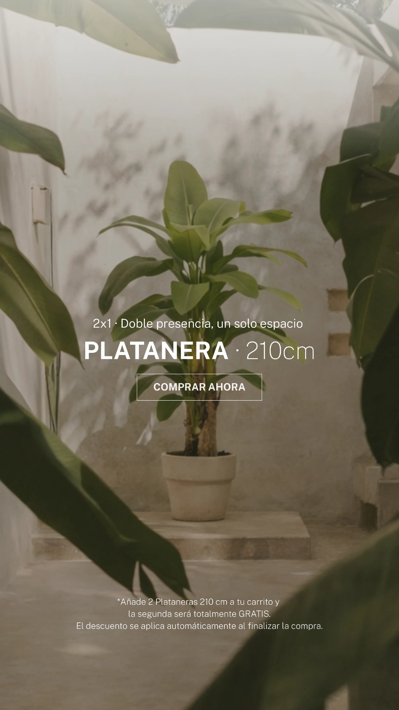 Imagen de diapositiva