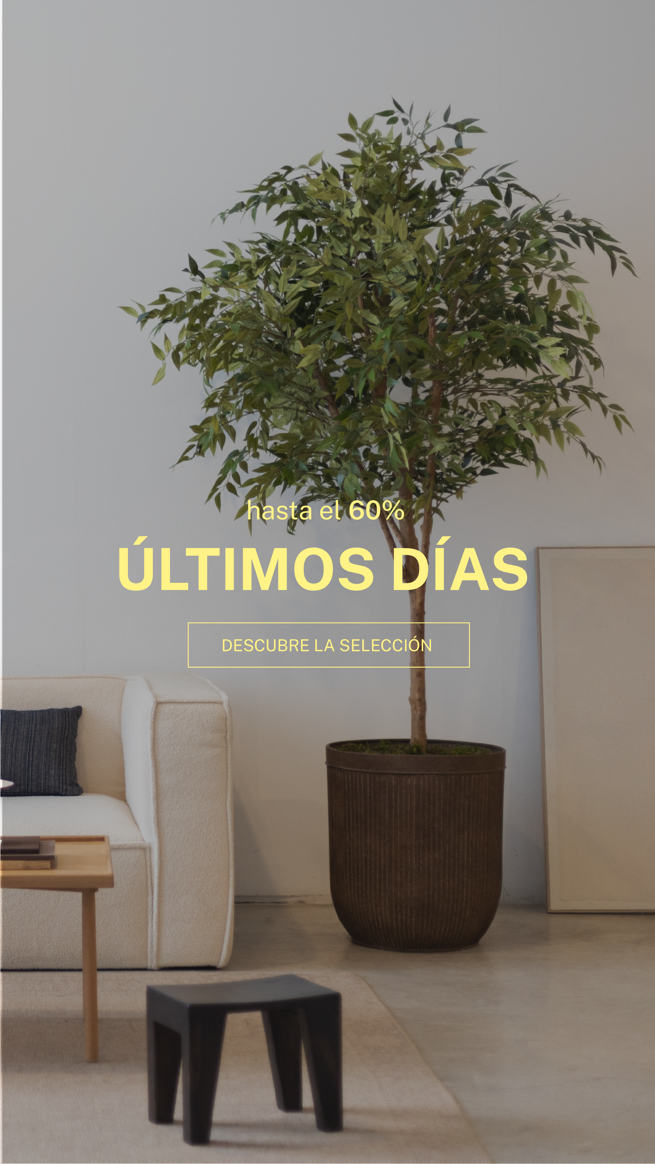 Imagen de diapositiva