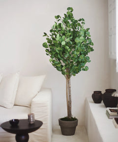 Eucalipto Artificial MAIA SHOP Salon