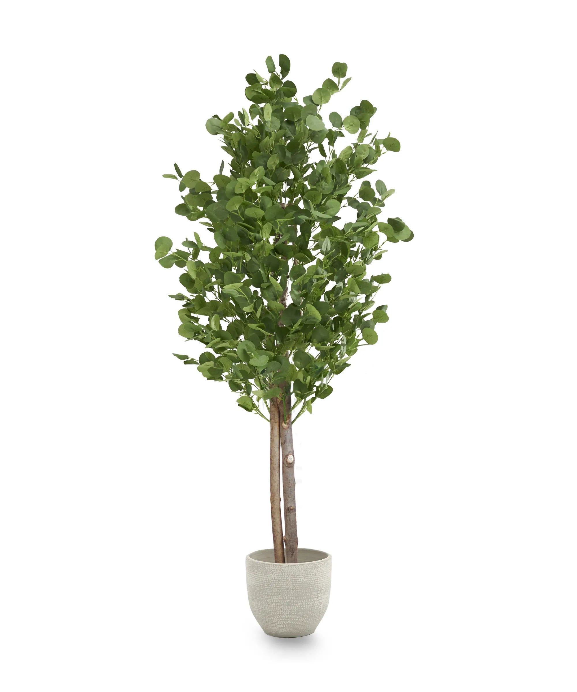 Eucalipto Artificial Tronco Natural MAIA SHOP
