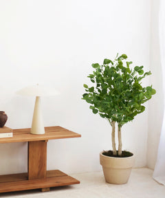 Eucalipto Artificial pequeño en salón MAIA SHOP