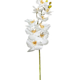 Rami di Orchidea Artificiale