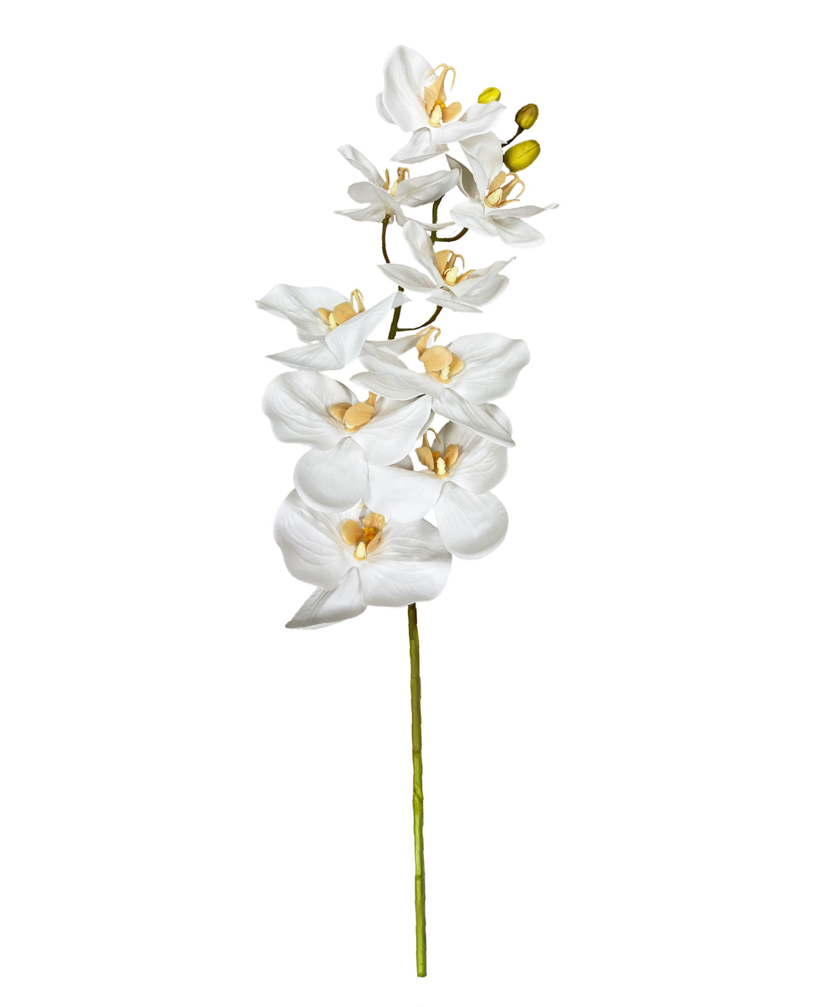 Ramas de Orquídea Artificial en MAIASHOP