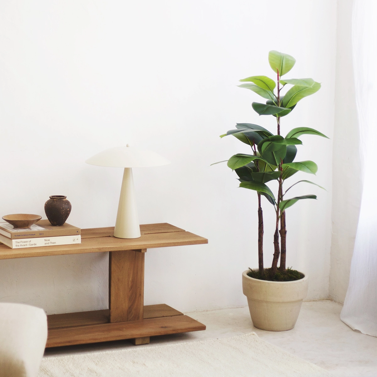 Ficus Elástica 120 cm MAIA SHOP