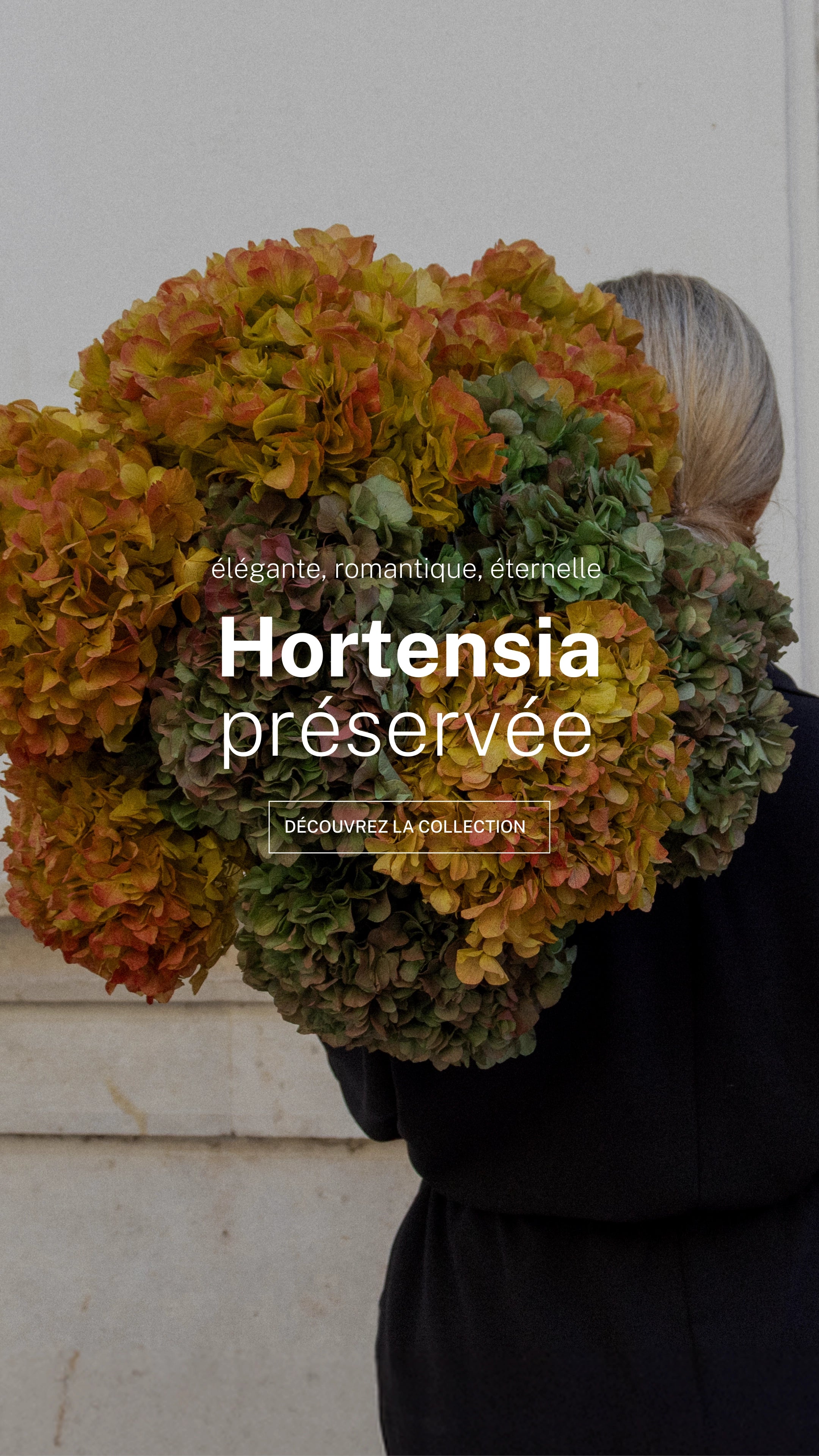 Image de diapositive