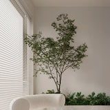Ficus Artificial 280cm MAIA SHOP Recepción Clínica 