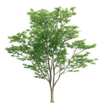 Ficus Artificial 320 cm MAIA SHOP