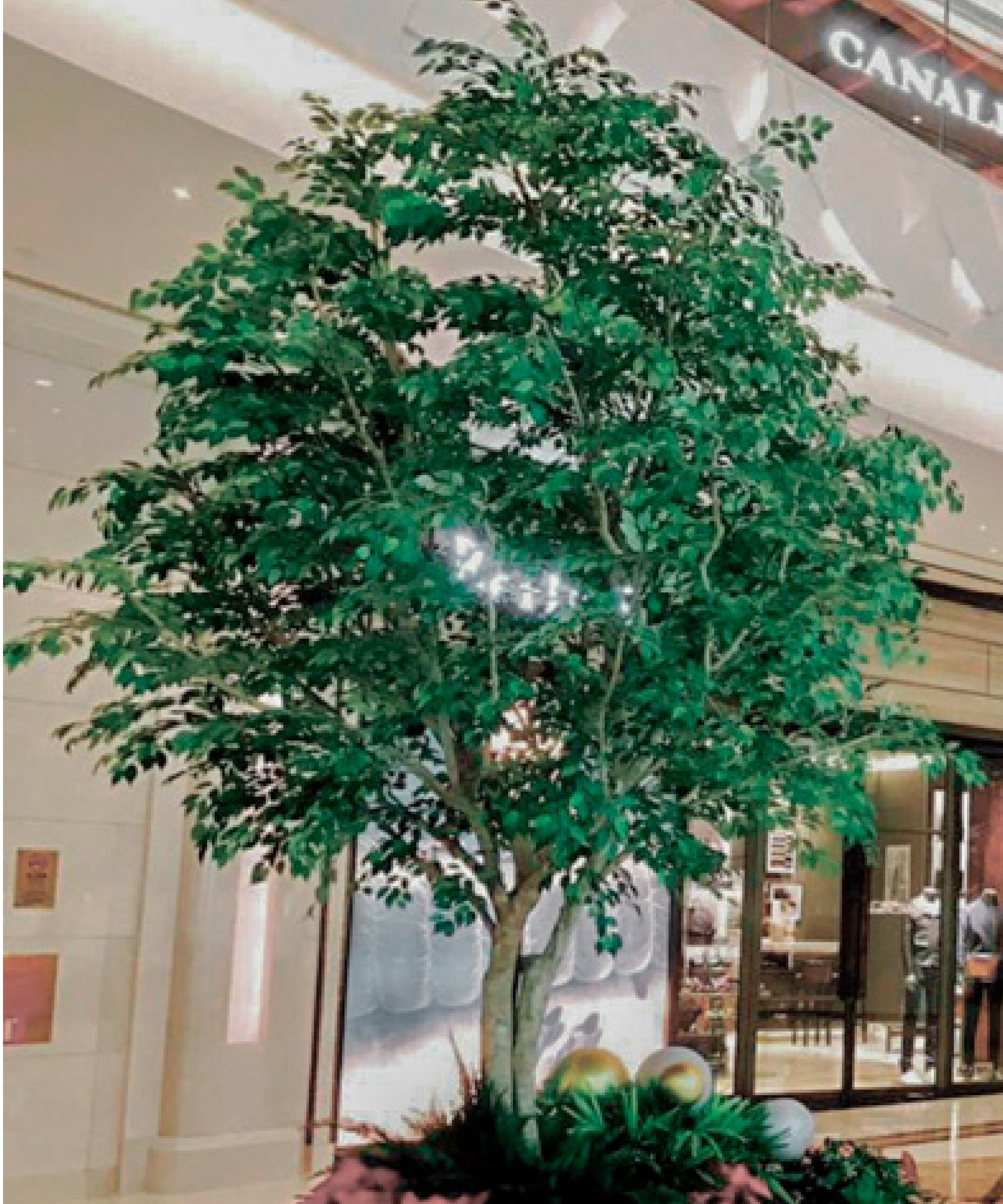 Ficus Artificial Compact Crown 3 m – 30 m Centro Comercial MAIA SHOP